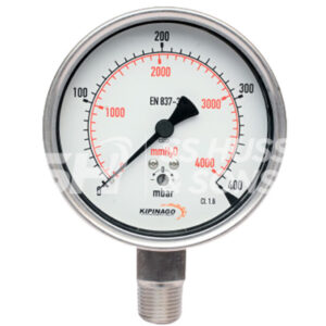 Capsule Pressure Gauge